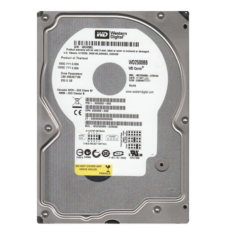 Western Digital - 250GB 7.2K IDE ATA/100 3.5" 2MB Cache Hard Drive - WD2500BB-22RDA0