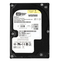 Western Digital - 250GB 7.2K IDE ATA/100 3.5" 2MB Cache Hard Drive - WD2500BB-55GUC0