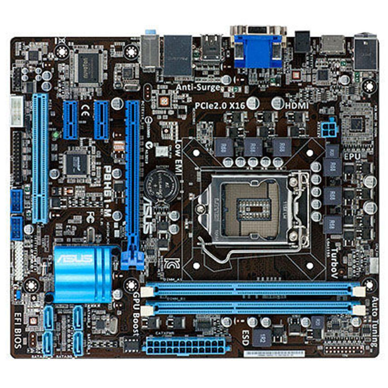 Asus - mATX Server Motherboard Only - P8H61-M